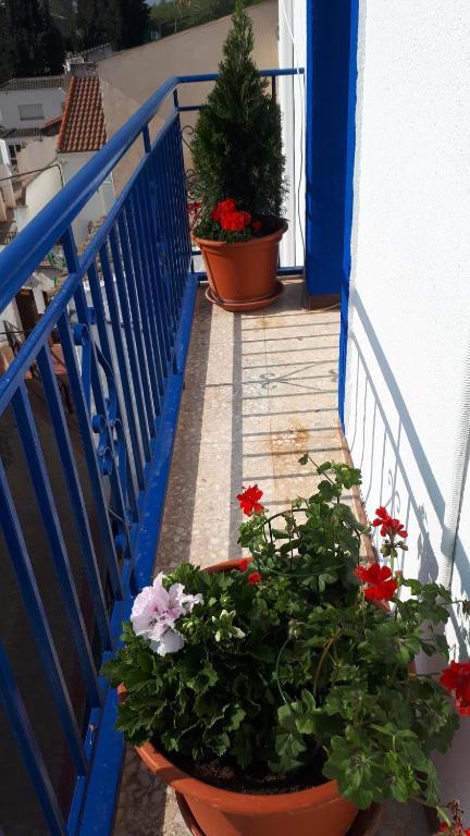 Villa Maria Vilches Bagian luar foto