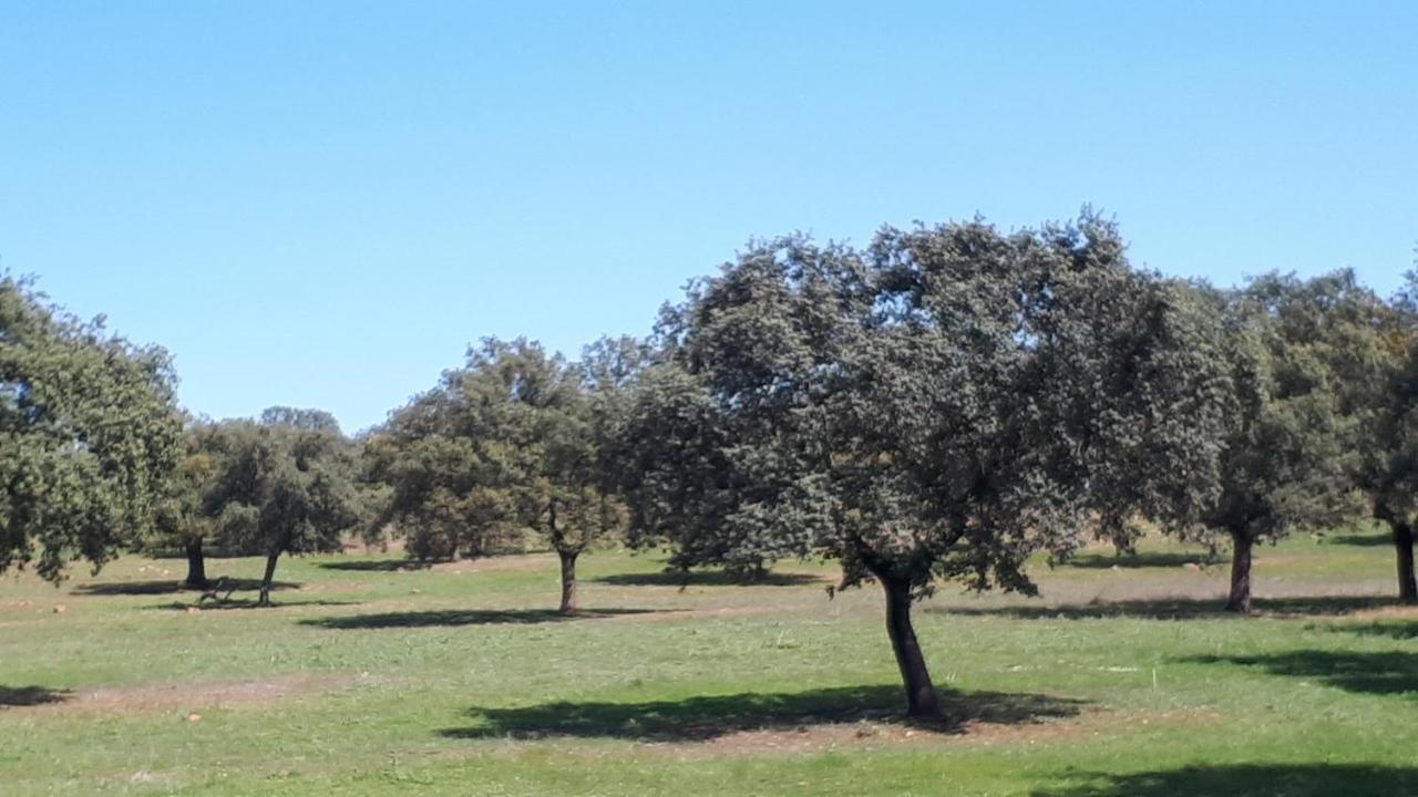 Villa Maria Vilches Bagian luar foto